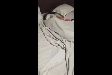 Mahasiswi Vania Cantik Live Kasur Selimut poster